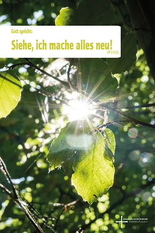 Jahreslosung 2026 Sonnenstrahlen fallen auf Blätter