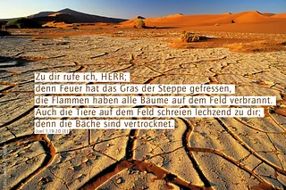 Monatslosung Mai 2025