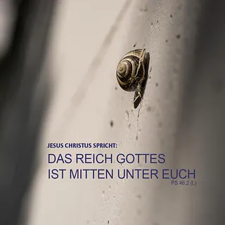 Monatsspruch Oktober 2025 Auf dem Bild ist eine Schnecke zu sehen