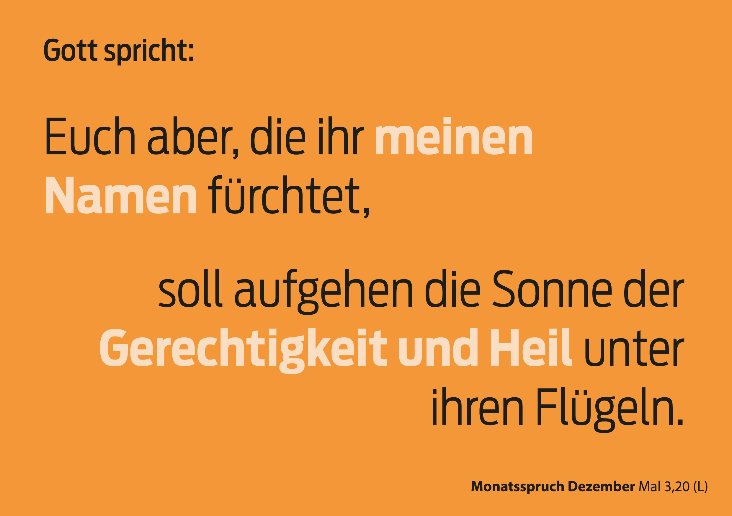 Monatsspruch für Dezember 2025. 